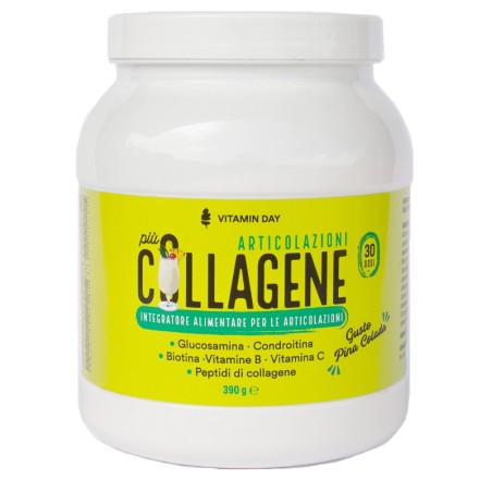 Vitamin Day Collagene Articolazioni 390 G