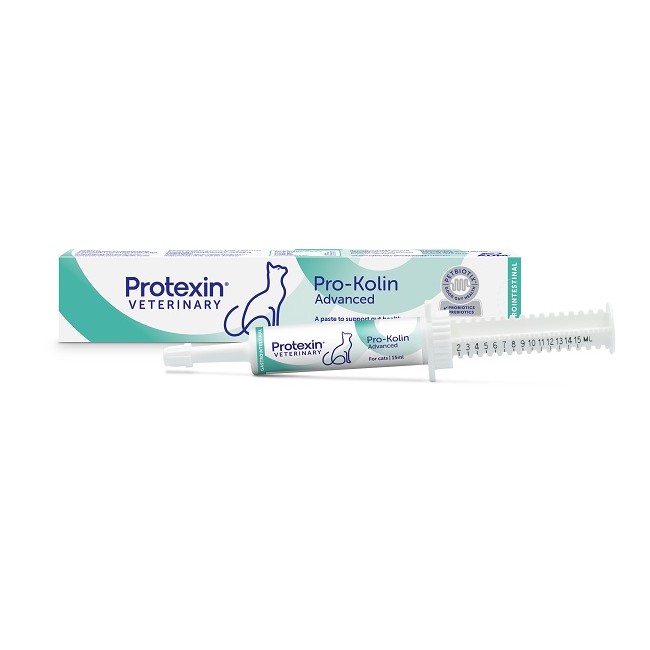 Prokolin Advanced Car Pasta 15 Ml Prokolin Advanced Car Pasta 15 Ml