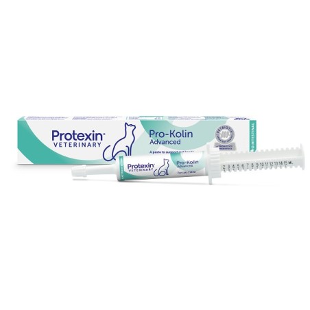 Prokolin Advanced Car Pasta 15 Ml Prokolin Advanced Car Pasta 15 Ml