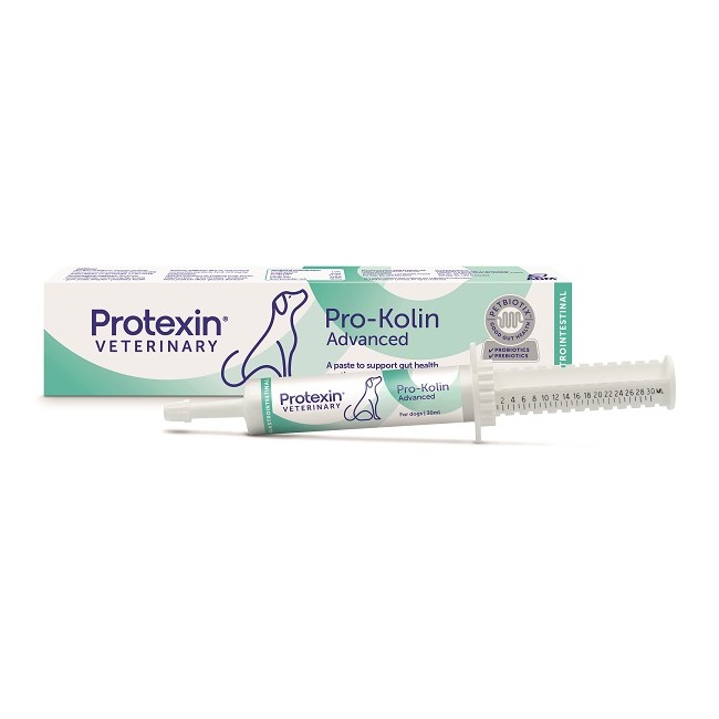 Prokolin Advanced Dog Pasta 30 Ml
