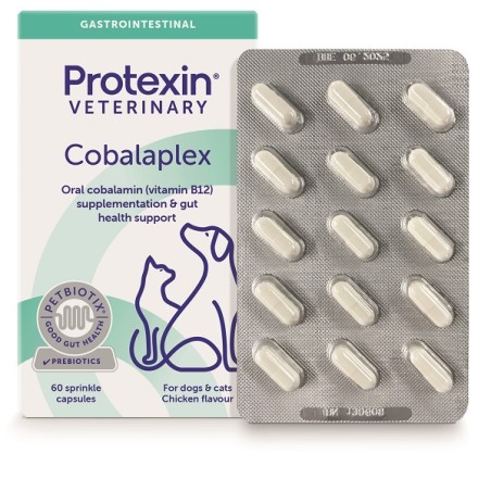 Cobalaplex 60 Capsule Cobalaplex 60 Capsule