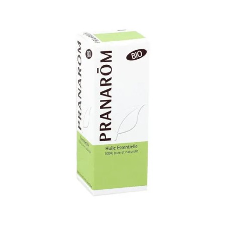 Flaconcino da 10 ml di Pranarom Tea Tree Olio Essenziale Biologico. Flaconcino da 10 ml di Pranarom Tea Tree Olio Essenziale Biologico.