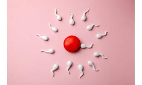 Prodotti e rimedi per aumentare la fertilità maschile e femminile
