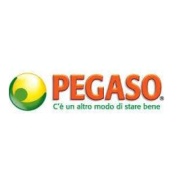 Pegaso