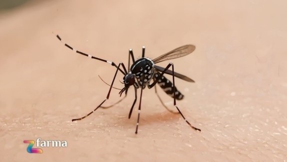 Zanzare in arrivo: come difendersi davvero senza stress