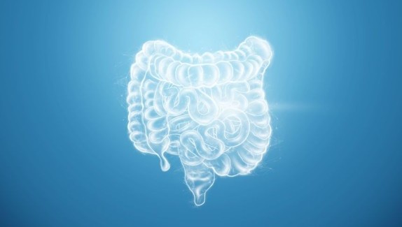 Come mantenere l’intestino sano e pulito