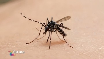 Zanzare in arrivo: come difendersi davvero senza stress